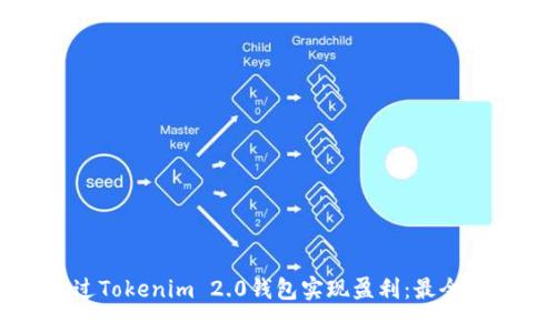 如何通过Tokenim 2.0钱包实现盈利:最全面的指南