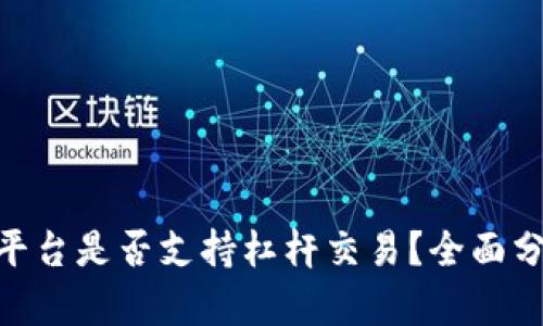 Tokenim平台是否支持杠杆交易?全面分析与指导