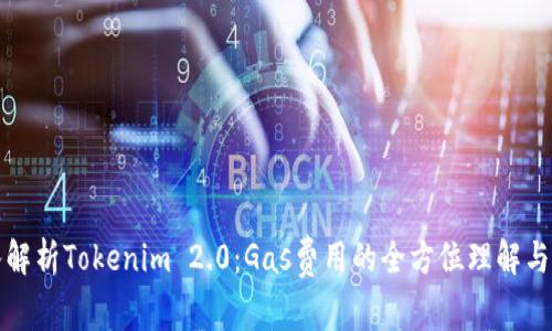 深入解析Tokenim 2.0:Gas费用的全方位理解与策略
