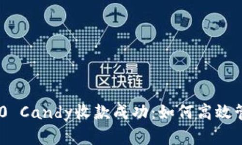 Tokenim 2.0 Candy收款成功:如何高效管理数字资产