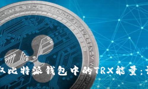 如何获取比特派钱包中的TRX能量:详细指南