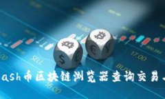 如何使用Dash币区块链浏览
