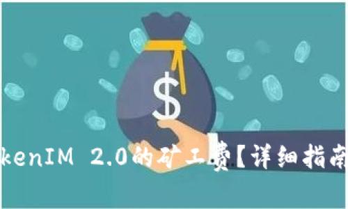 如何支付TokenIM 2.0的矿工费?详细指南与实用技巧