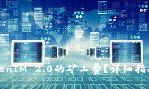 如何支付TokenIM 2.0的矿工费?详细指南与实用技巧