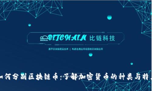 如何分别区块链币:了解加密货币的种类与特点