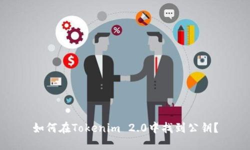 如何在Tokenim 2.0中找到公钥?