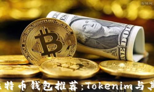 2023年最安全的比特币钱包推荐:Tokenim与其他热门钱包的对比