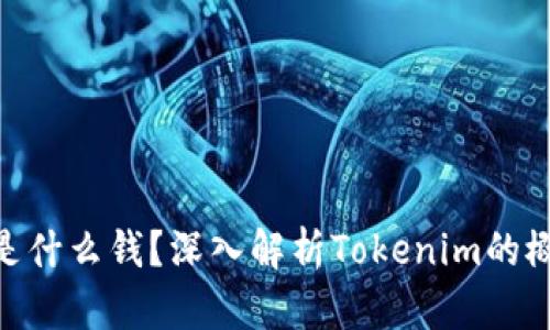 Tokenim是什么钱?深入解析Tokenim的概念与应用