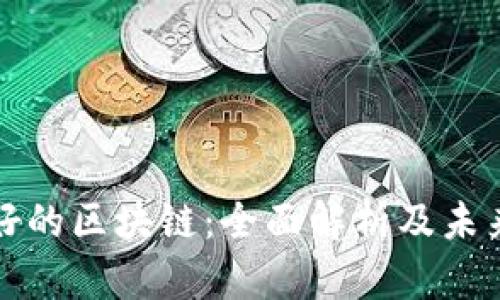比特币最好的区块链:全面解析及未来发展趋势