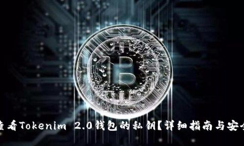 如何查看Tokenim 2.0钱包的私钥？详细指南与安全建议