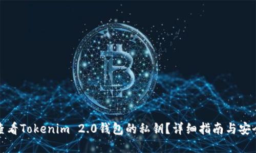 如何查看Tokenim 2.0钱包的私钥？详细指南与安全建议