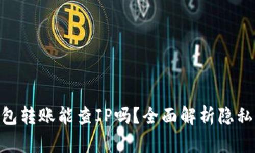 Tokenim 2.0钱包转账能查IP吗?全面解析隐私保护与交易追踪