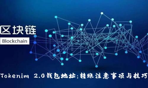 Tokenim 2.0钱包地址：转账注意事项与技巧