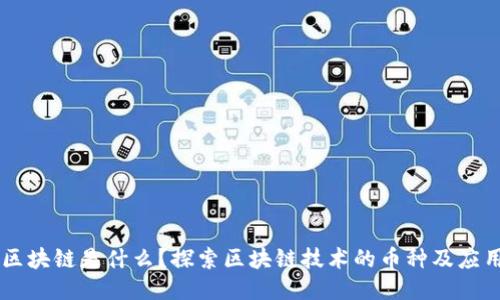 区块链是什么？探索区块链技术的币种及应用