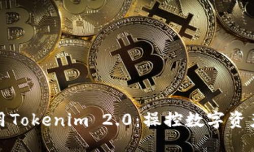 如何在国内使用Tokenim 2.0：操控数字资产的智能新选择