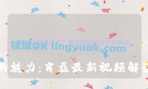 探索区块链的魅力：肖磊最新视频解读和心得分享
