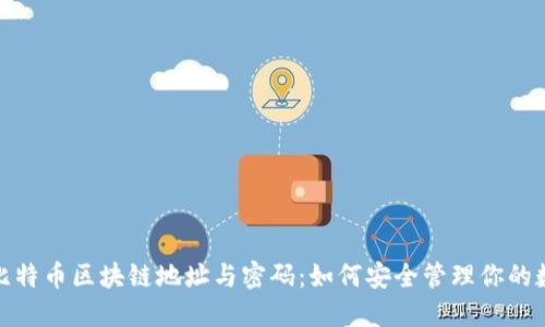 : 揭秘比特币区块链地址与密码：如何安全管理你的数字资产