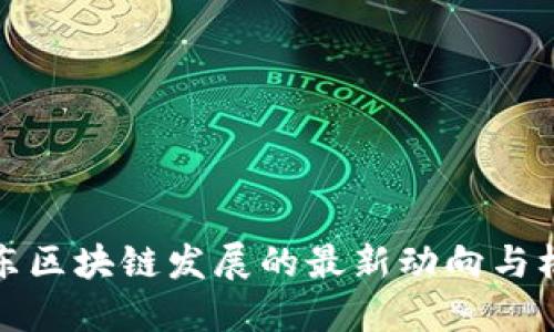 乐东区块链发展的最新动向与机遇
