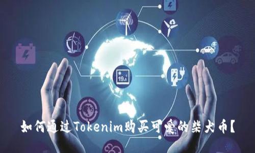 如何通过Tokenim购买可爱的柴犬币?