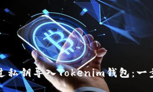 如何通过私钥导入Tokenim钱包：一步步指南