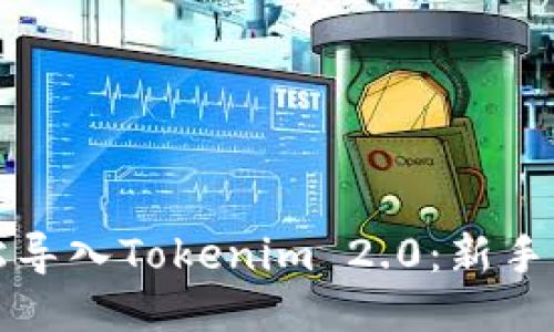 如何轻松导入Tokenim 2.0：新手必读指南