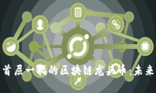 探索元宇宙首屈一指的区块链龙头币:未来金融的新宠
