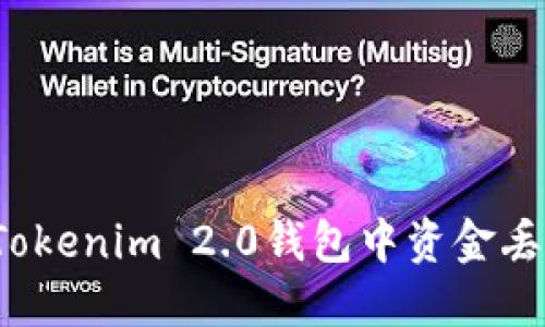 如何解决Tokenim 2.0钱包中资金丢失的问题?