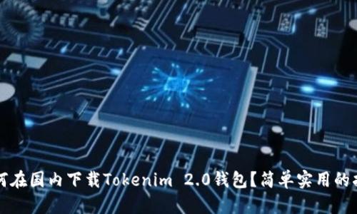 如何在国内下载Tokenim 2.0钱包？简单实用的指南