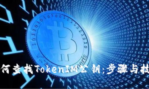 如何查找TokenIM公钥：步骤与技巧