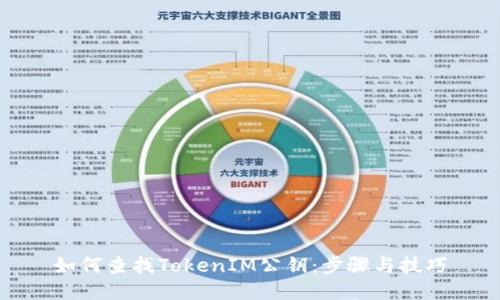 如何查找TokenIM公钥：步骤与技巧