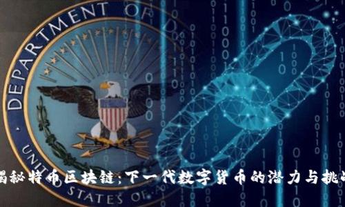 揭秘特币区块链：下一代数字货币的潜力与挑战