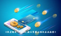 《深度解析Tokenim：国内苹