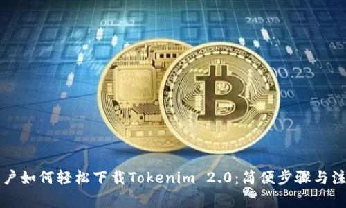 普通用户如何轻松下载Tokenim 2.0：简便步骤与注意事项