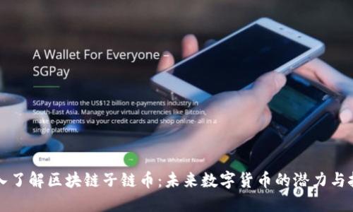 深入了解区块链子链币:未来数字货币的潜力与挑战