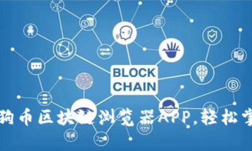 全面解析狗狗币区块链浏览器APP，轻松掌握交易动态