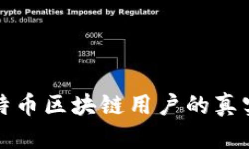 深入了解比特币区块链用户的真实体验与挑战