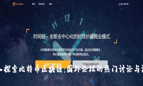 深入探索比特币区块链：国外论坛的热门讨论与洞察