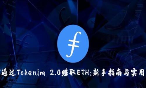 如何通过Tokenim 2.0赚取ETH：新手指南与实用策略