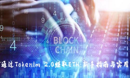 如何通过Tokenim 2.0赚取ETH：新手指南与实用策略