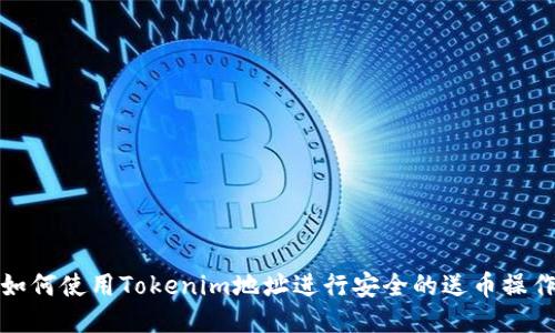 如何使用Tokenim地址进行安全的送币操作