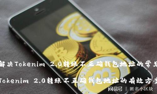 如何解决Tokenim 2.0转账不正确钱包地址的常见问题

解决Tokenim 2.0转账不正确钱包地址的有效方案