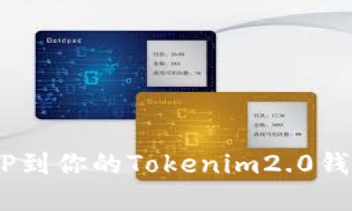 轻松添加DAPP到你的Tokenim2.0钱包的完美指南