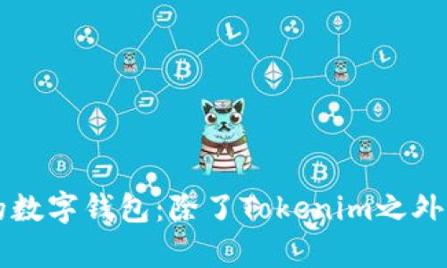 探索最受欢迎的数字钱包：除了Tokenim之外，还有哪些选择？