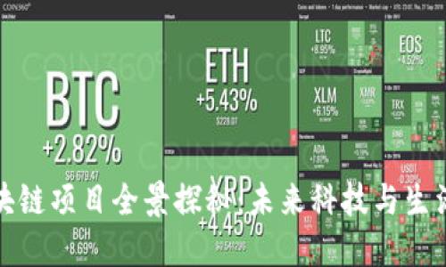 厦门最新区块链项目全景探秘：未来科技与生活的完美结合