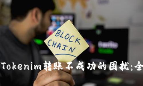 如何解决Tokenim转账不成功的困扰：全方位指南