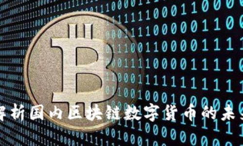 全面解析国内区块链数字货币的未来发展