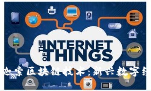 深入探索币迦索区块链技术：新兴数字经济的引领者