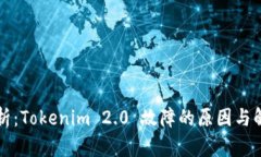深入解析：Tokenim 2.0 故障