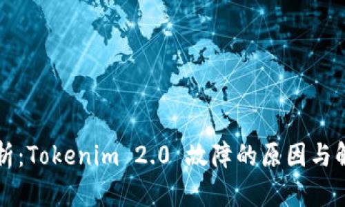 深入解析：Tokenim 2.0 故障的原因与解决方案