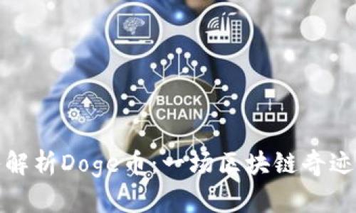 深入解析Doge币：一场区块链奇迹之旅